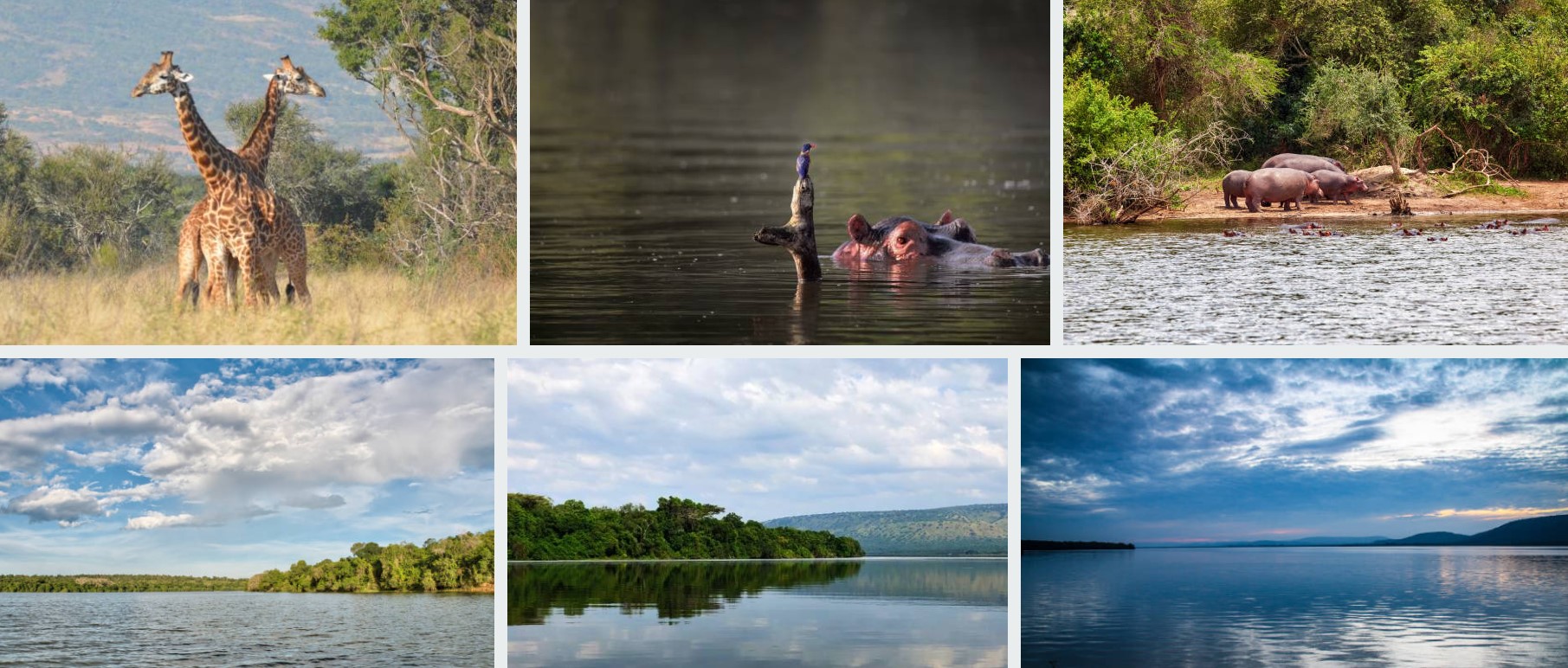 Stunning view of Lake Mburo National Park in Uganda, featuring zebras, lush savannah plains, and scenic landscapes under a bright sky