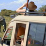 Embark on a thrilling 7-day Kenya Uganda Safari: Explore diverse wildlife