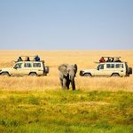 enjoy on Flying Safari through tanzania and uganda