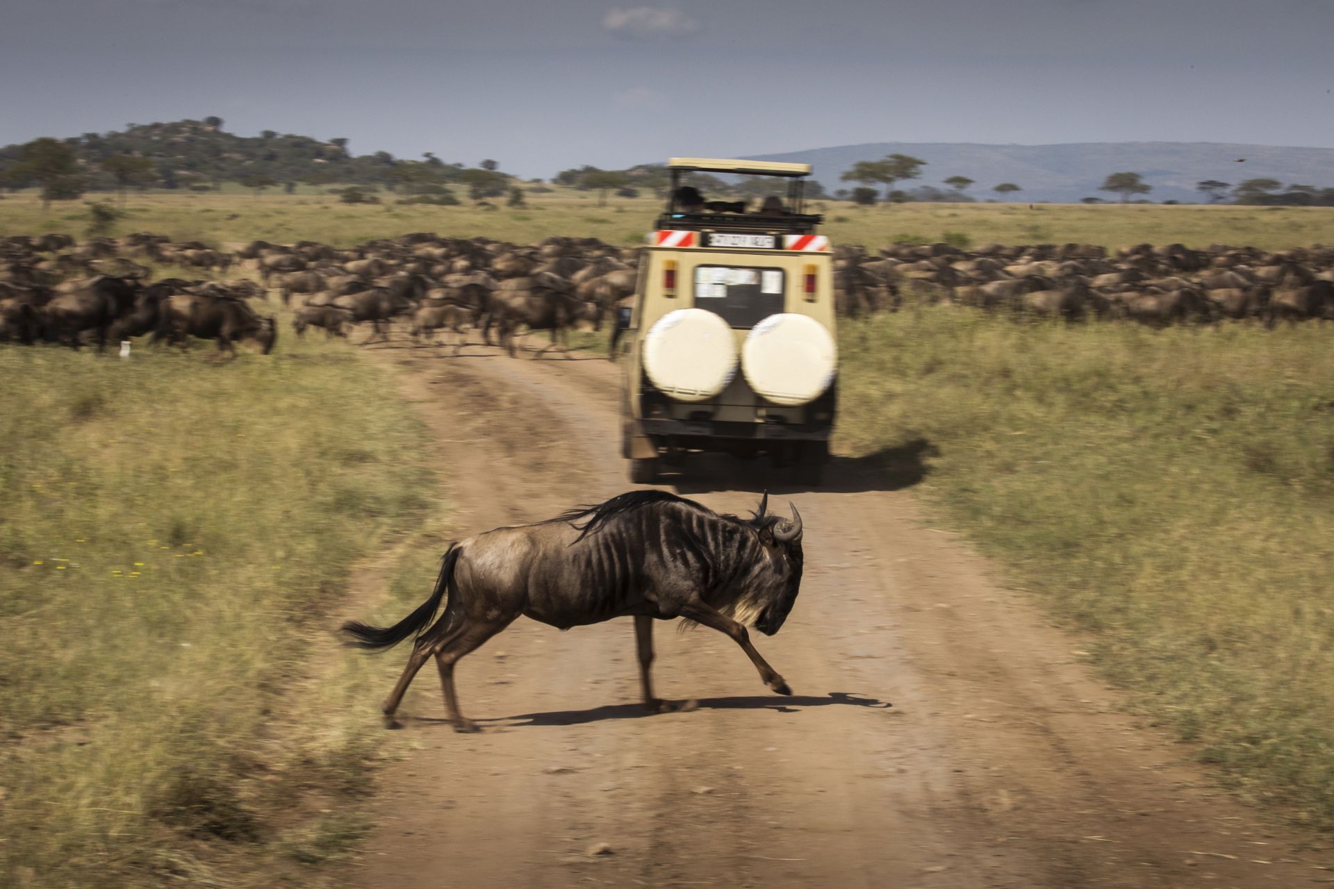 Serengeti Luxury Tented Camps