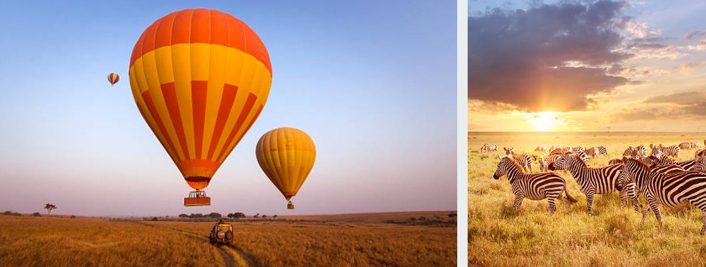 Experience Kenya safaris with stunning wildlife and scenic landscapes