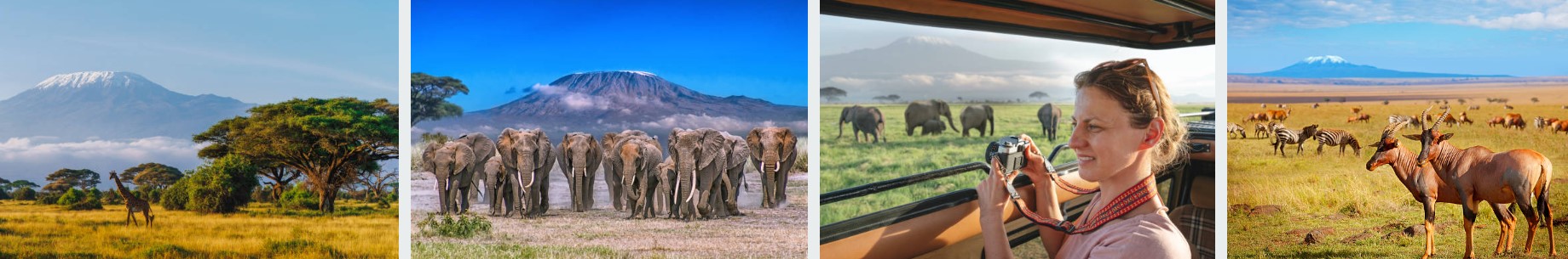 A panoramic view of Amboseli National Park, showcasing Mount Kilimanjaro, diverse wildlife, and Maasai tribespeople.