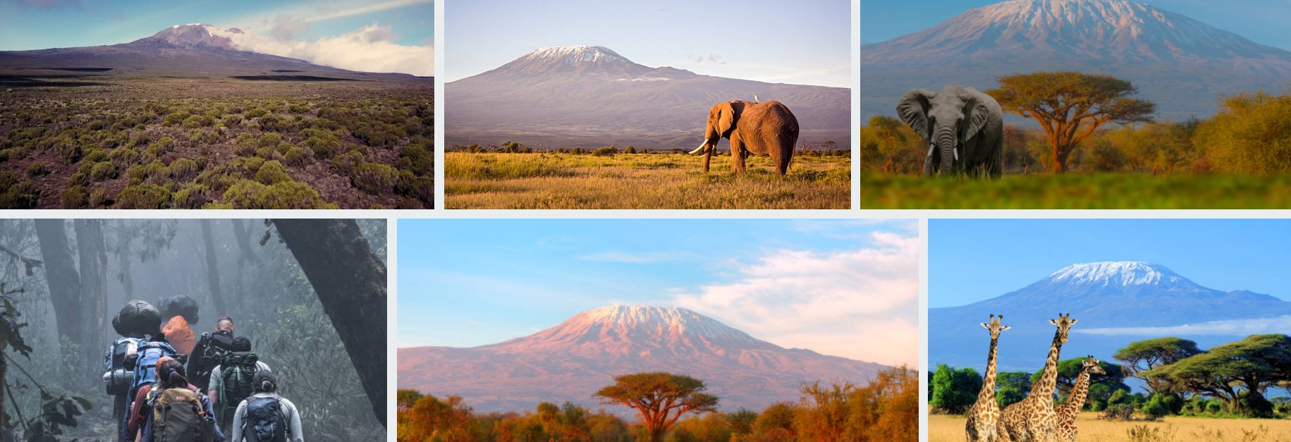A breathtaking view of Kilimanjaro Mountain in Tanzania's National Park, showcasing its majestic snow-capped peak and diverse ecosystems