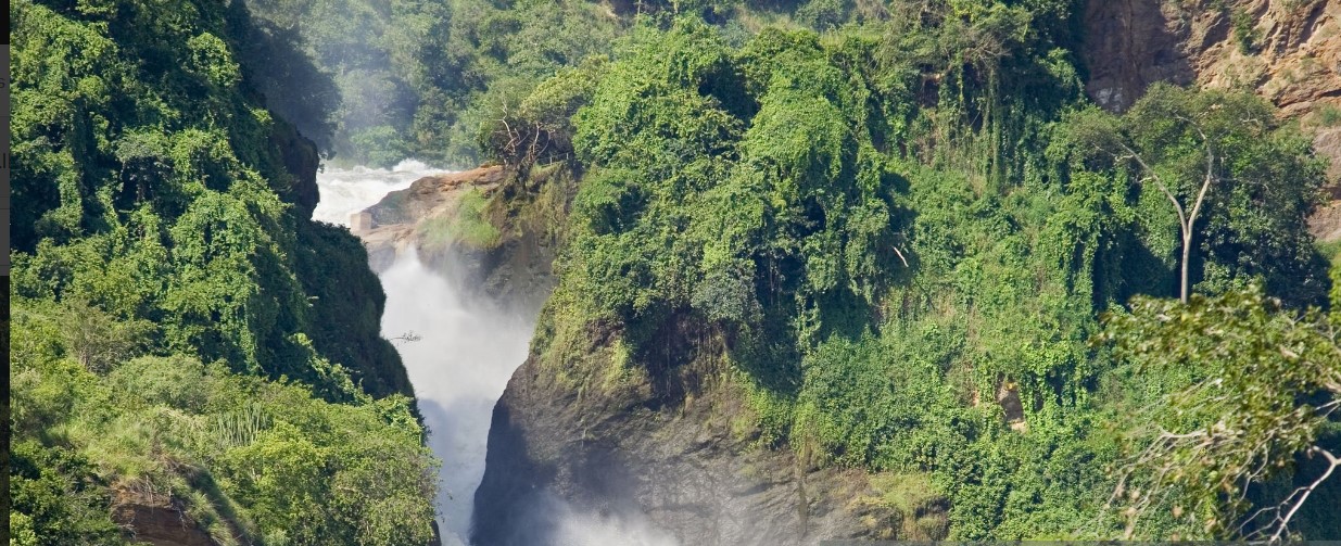 View of Murchison Falls with lush greenery, showcasing the powerful waterfall and surrounding wildlife.