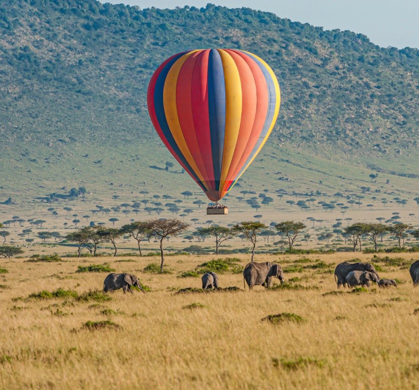 A panoramic view of the Maasai Mara National Reserve featuring vast savannahs, wildlife, and a herd of wildebeest during the Great Migration