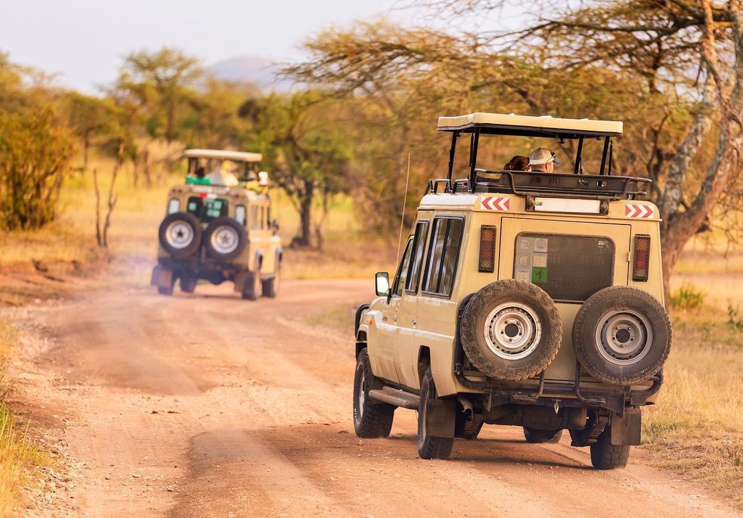off-road safari adventures in Tanzania. Serengeti Safari Vehicle Guide (4x4)