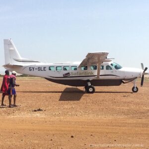 Best Domestic Airlines for Tanzania Safaris