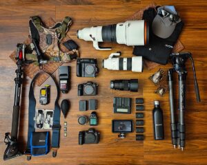 Best Camera Gear for Tanzania Safaris