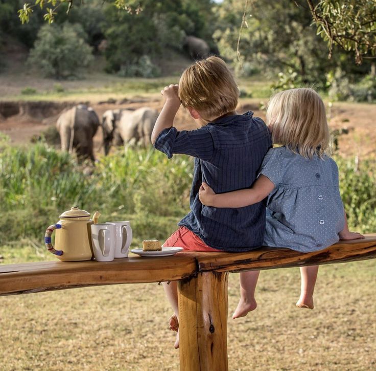 6 Days Family-Friendly Northern Tanzania Safari