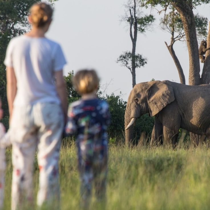 Safari with Toddlers East Africa Family Safari Packages