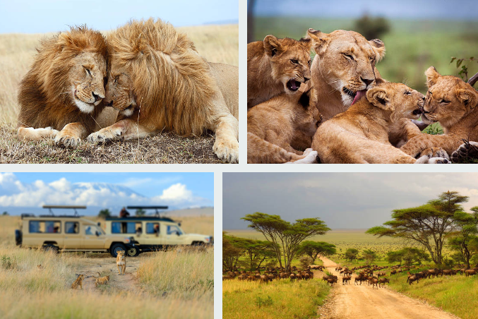 Kenya’s Big Five Safari