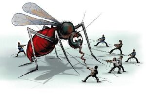 Malaria Prevention Tips for Tanzania Safaris