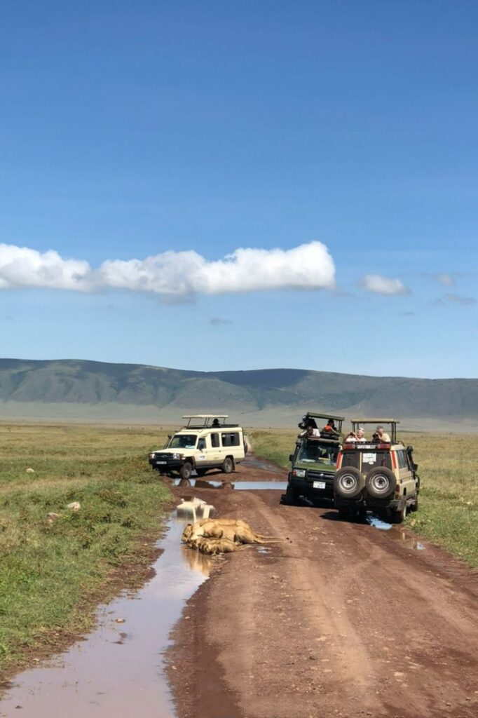 June Tanzania safari. November Tanzania Safari: Short Rains Guide