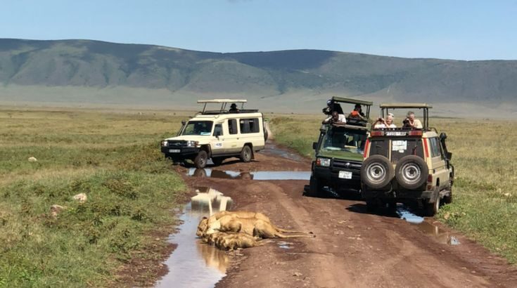 June Tanzania safari. November Tanzania Safari: Short Rains Guide