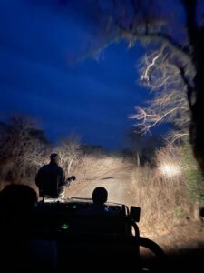 Night Safaris in Tarangire National Park