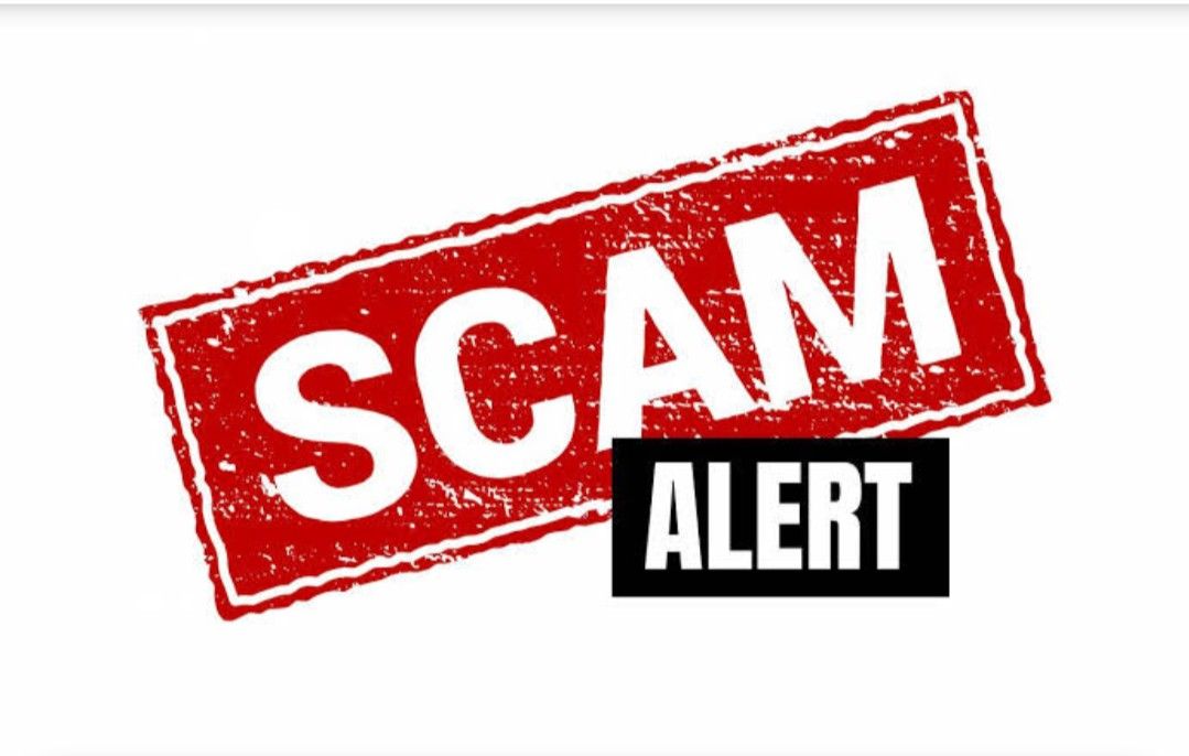 avoid safari scam