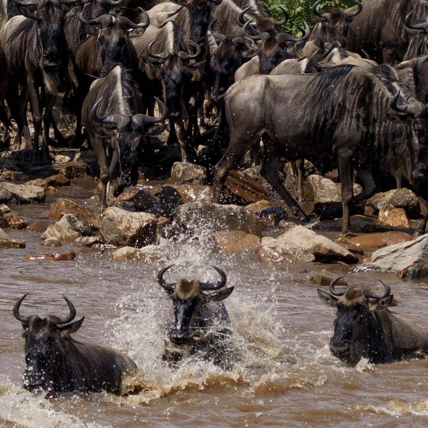 15 Days Western Tanzania Circuit Grand Tour