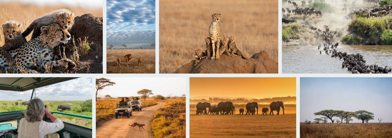 DIY Tanzania Safari: Self-Organized Tips for the Independent Adventurer. group joining safaris in Tanzania