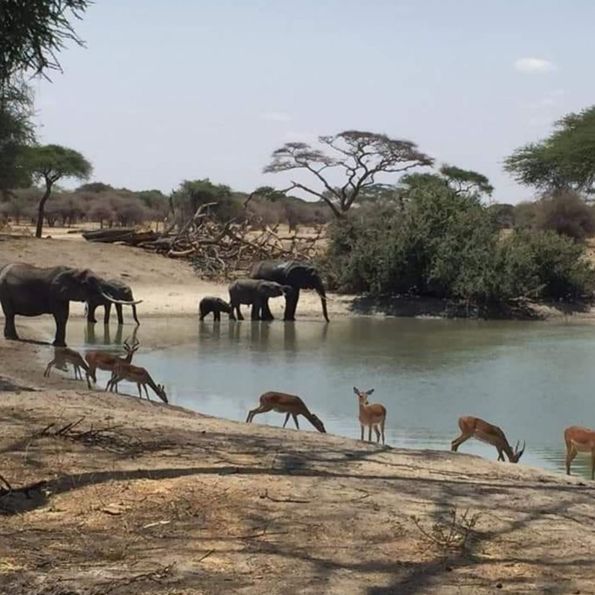 9 Days Katavi Wild West Immersion