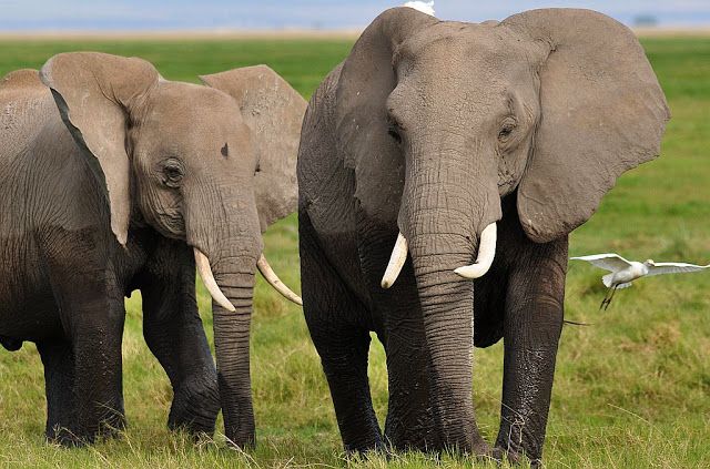 9 Days Burigi–Chato Off-the-Beaten Path