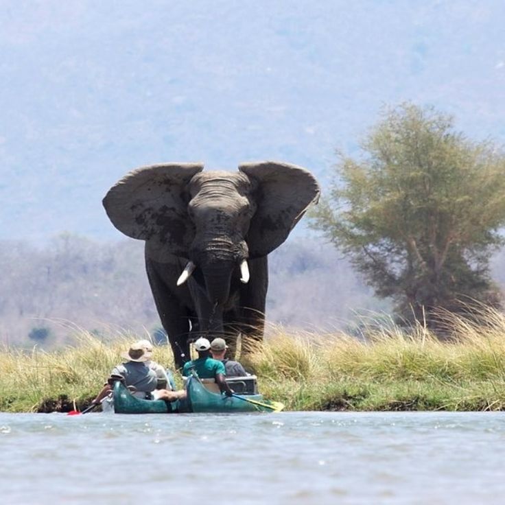 12 Days Deep Southern Tanzania Explorer