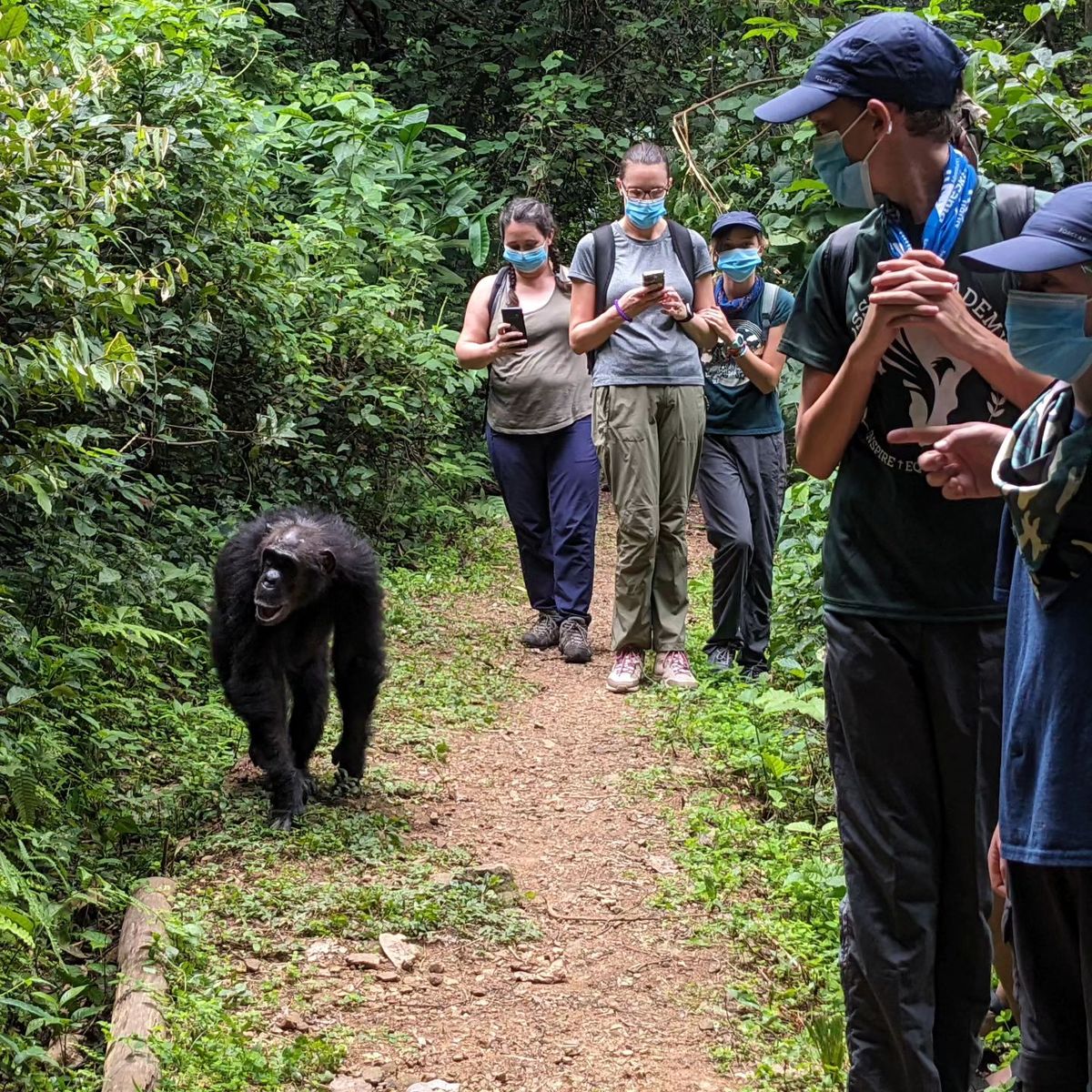 9 Days Western Tanzania Circuit Highlights