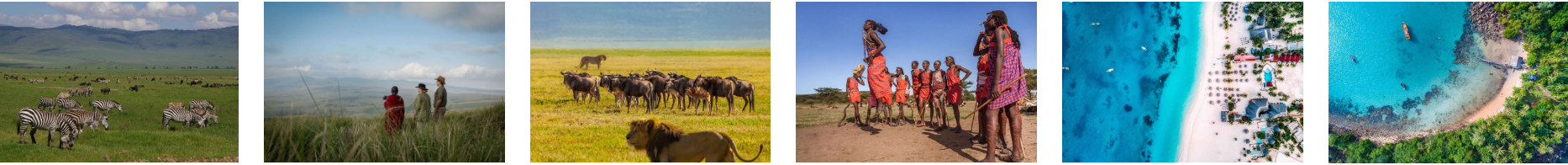 Experience the ultimate Tanzania adventure: 9 days of Serengeti wildlife thrills and Zanzibar's pristine beaches on a seamless luxury safari itinerary.
