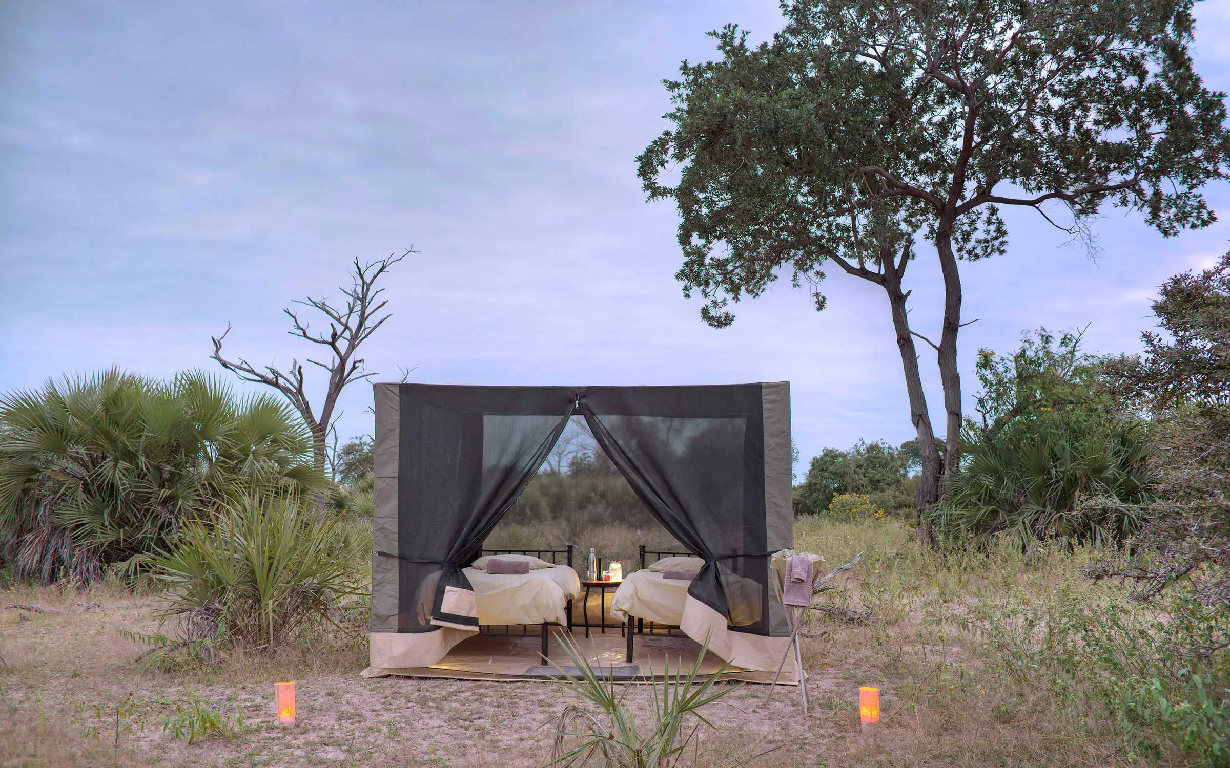 How to Choose the Right Tanzania Group Safari Package
