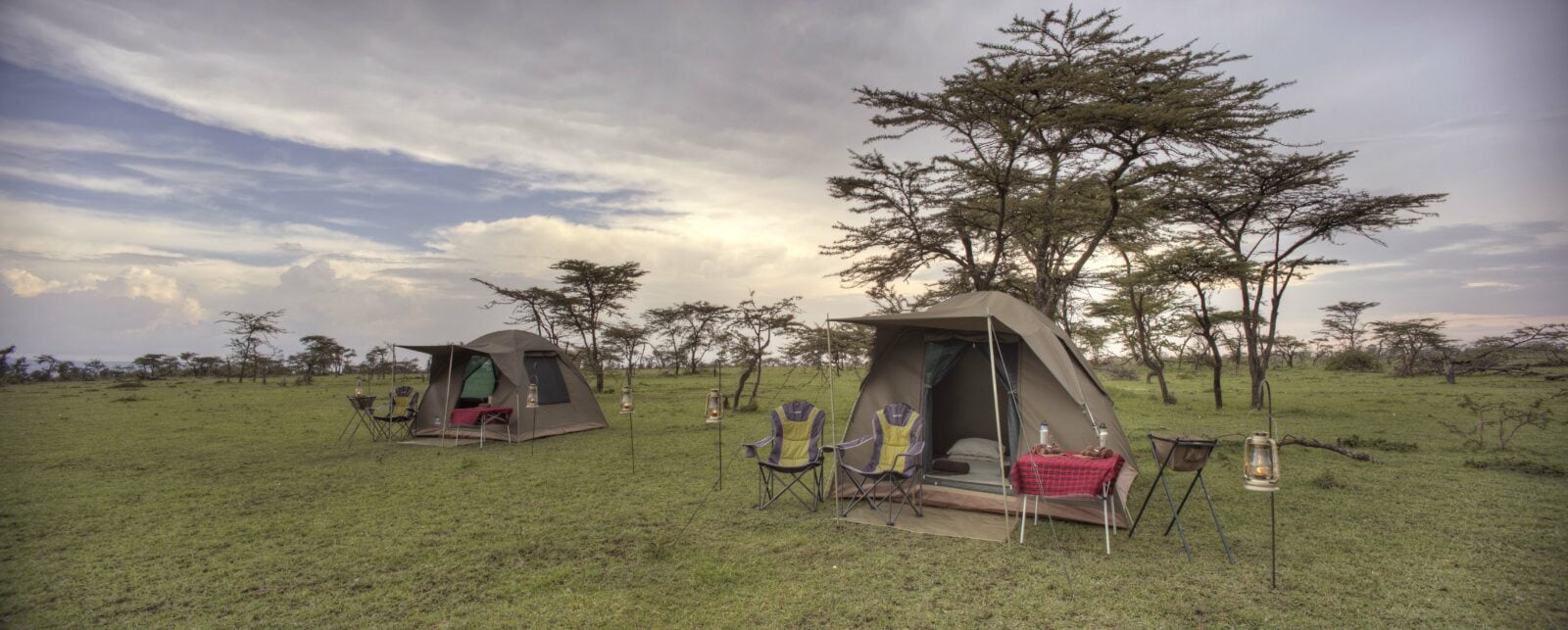 How to Choose the Right Tanzania Group Safari Package