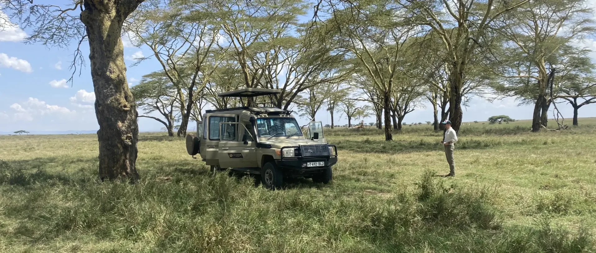 Tanzania Group Safari Reviews: Real Traveler Experiences