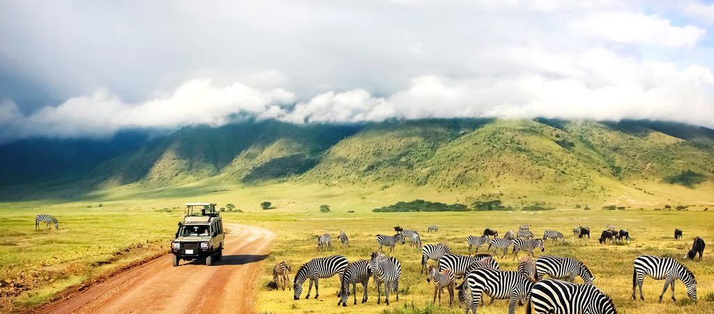 Are Group Safaris Safe For Farmilies With Young Children In Tanzania