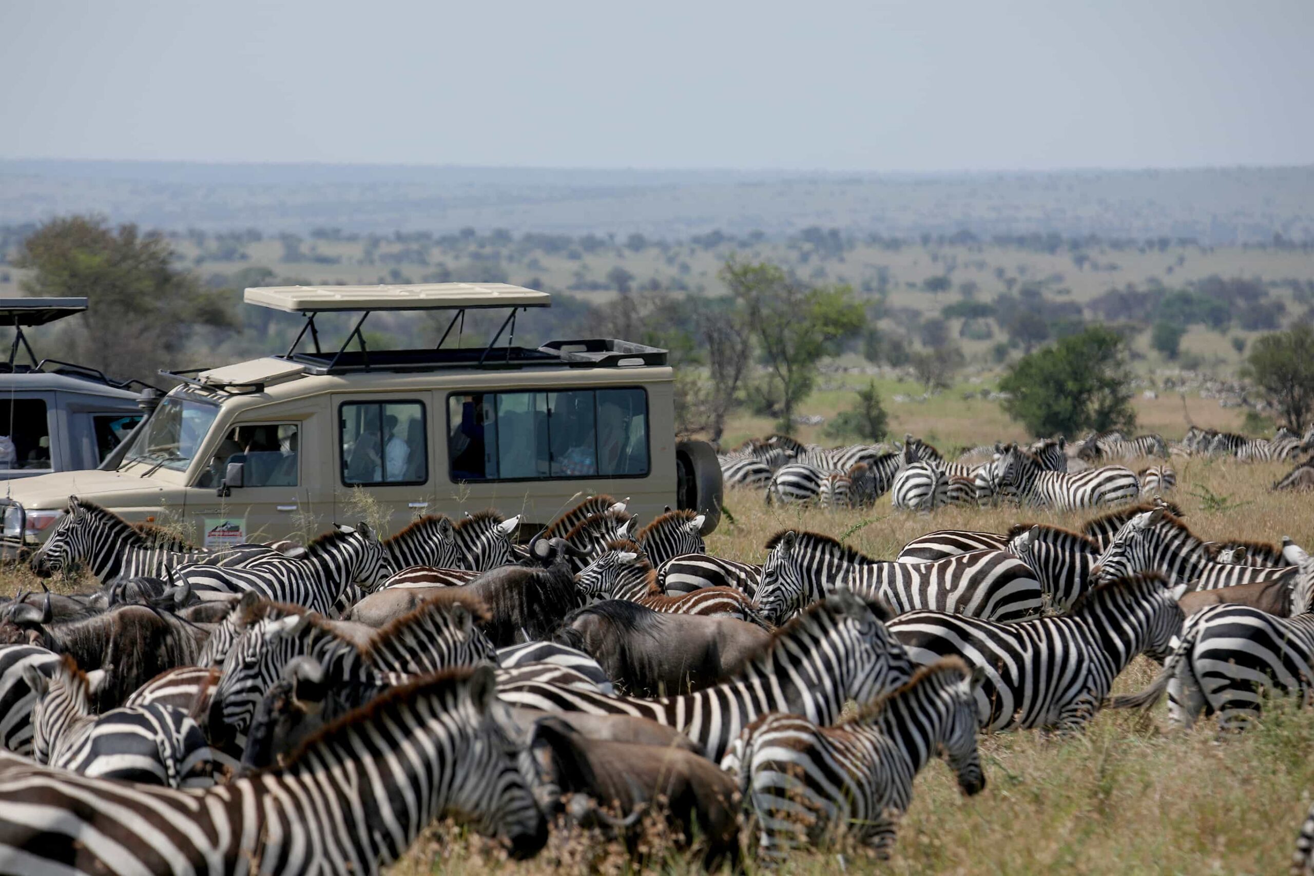 Are Tanzania Group Safaris Safe?