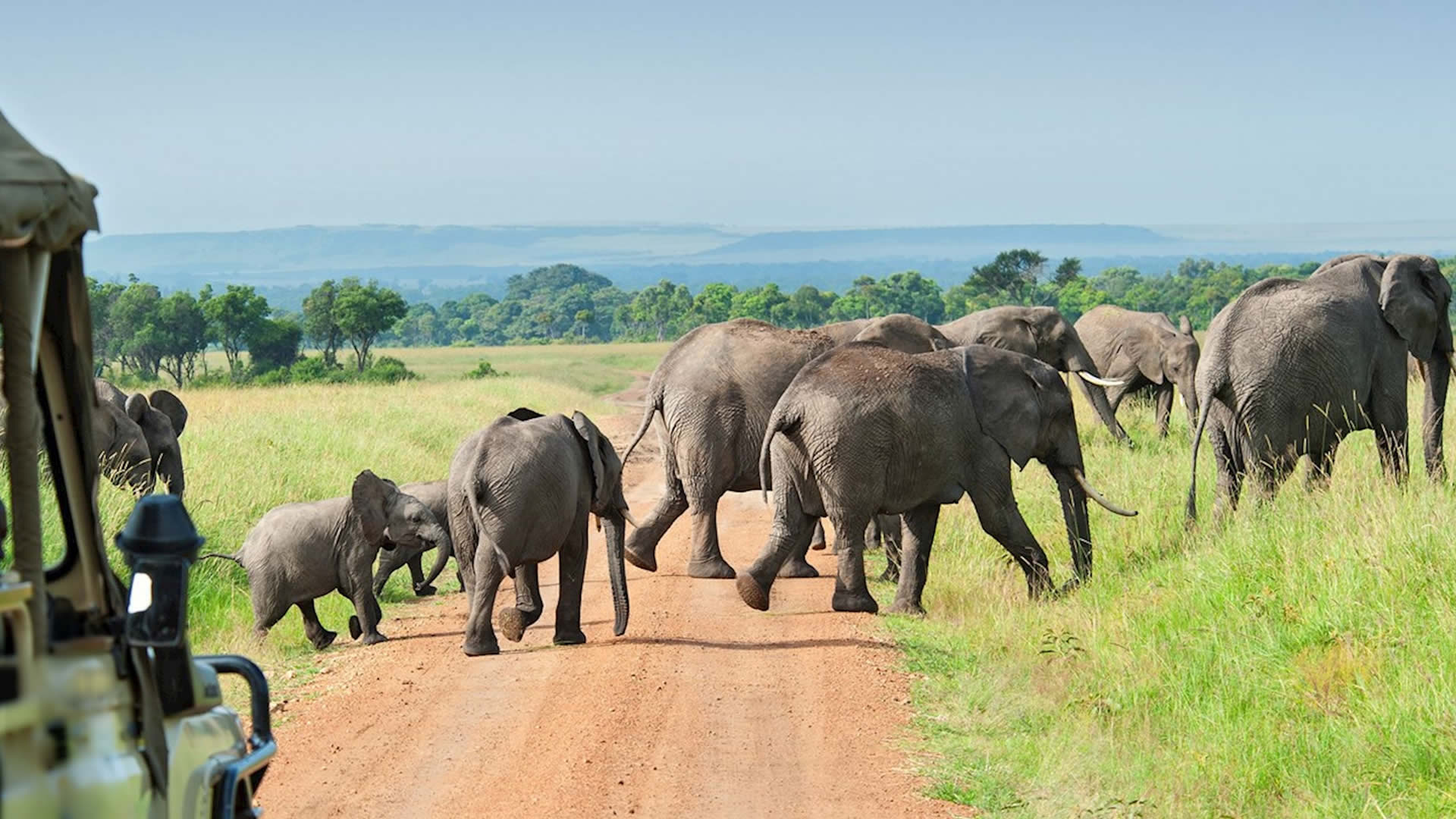 Budget Tanzania Safari