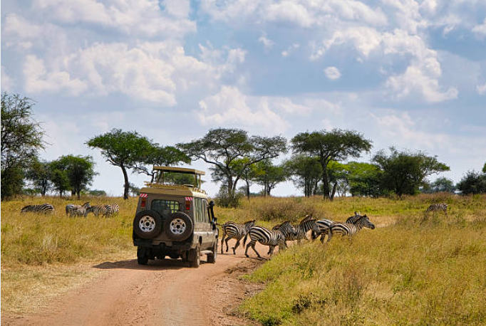 what are the main advantage of joining a group safari in tanzania