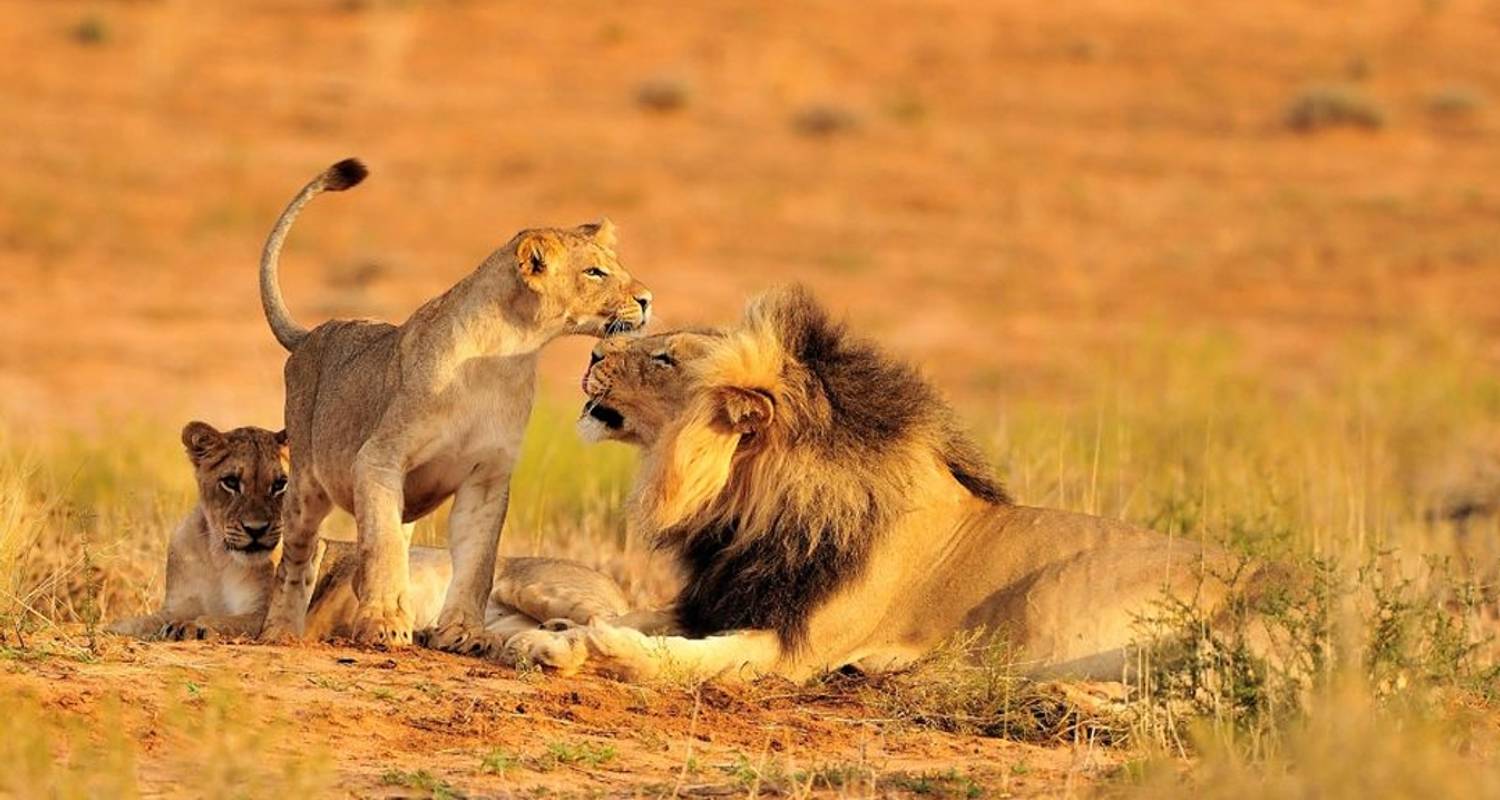 what is the cancellation and refund policy for group safaris