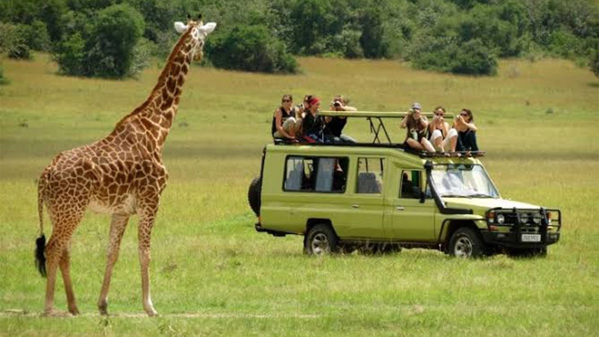 What Is The difference Between Budget, Mid-Range and Luxury Group Safaris