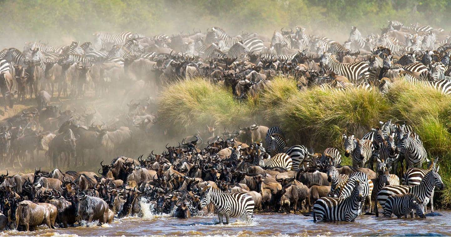 Travelers enjoying Great Wildebeest Migration views during unforgettable Tanzania group safari adventure experience.