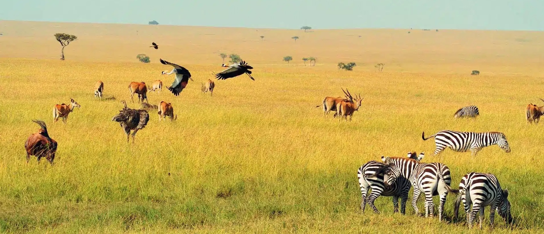 Travelers boarding safari vehicle before Tanzania group adventure with airport transfer service