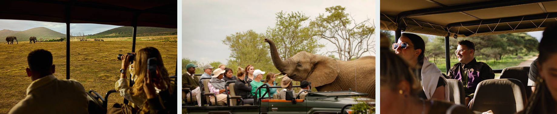 Join a Tanzania group safari: shared jeeps, expert guides, and amazing wildlife. Affordable, social, and easy to book