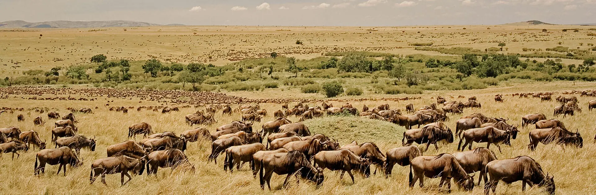 Are Group Safaris In Tanzania Suitable for Solo Travellers?