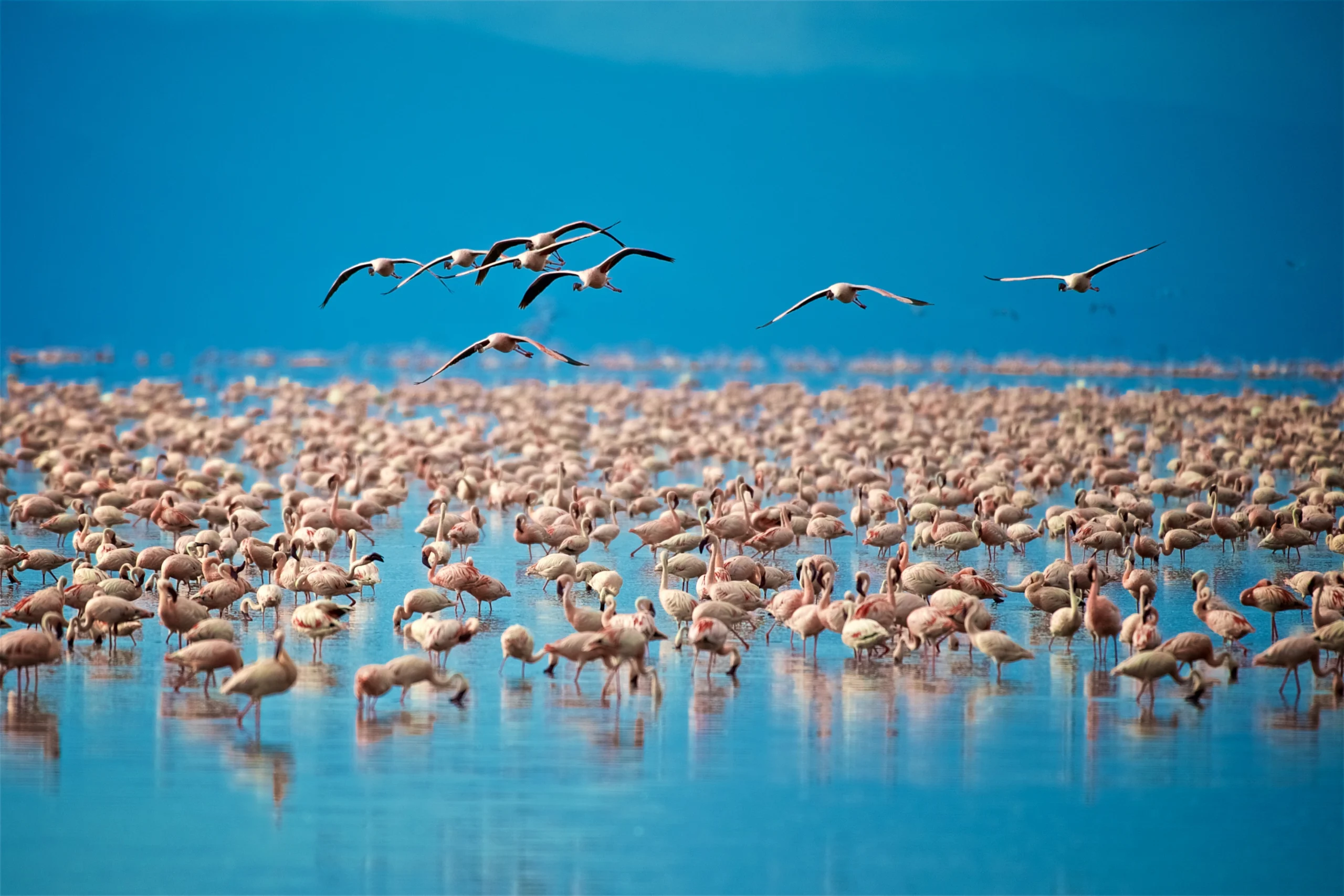 How To Choose a Reliable Tour Operator For Tanzania