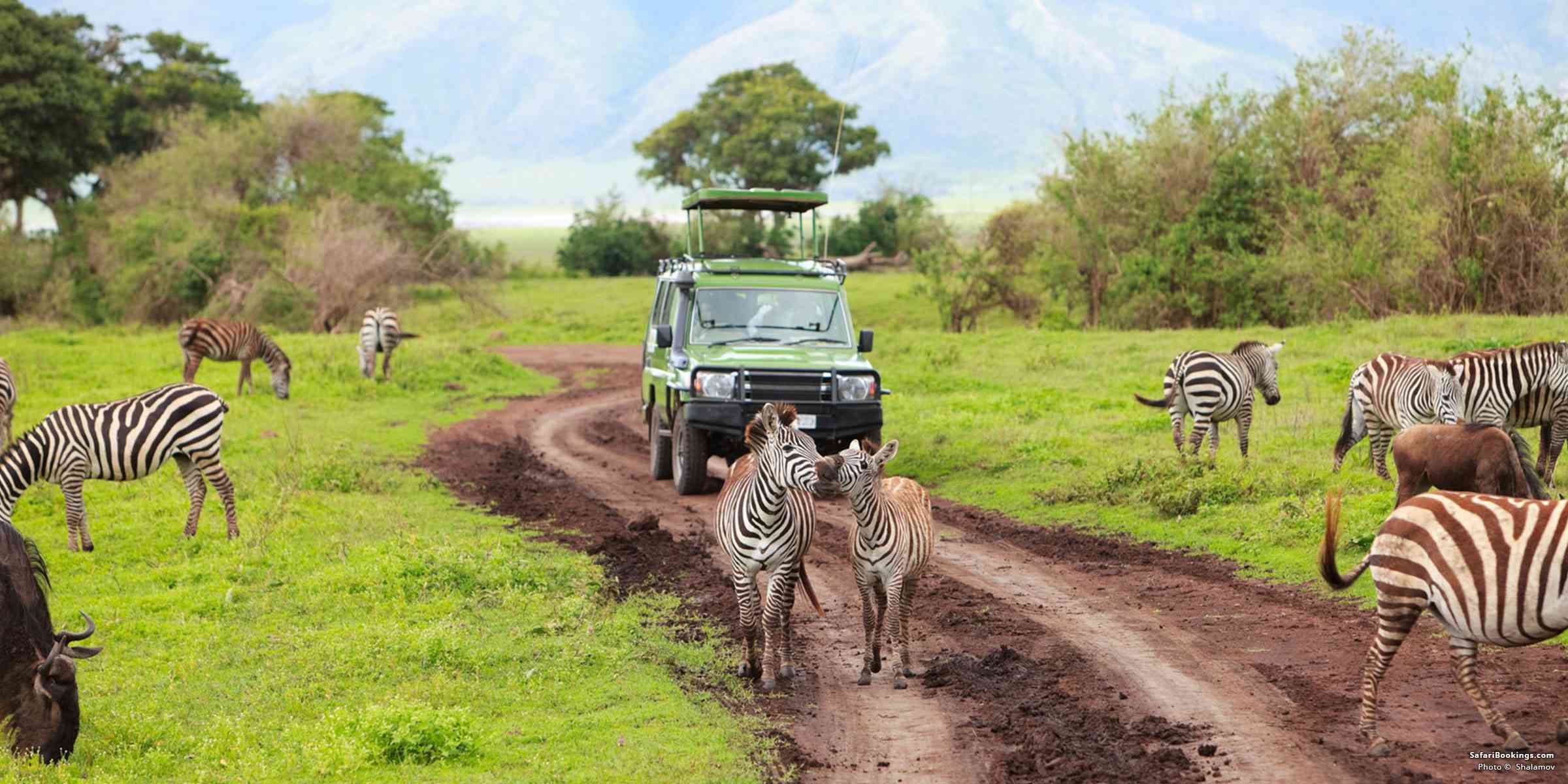 Do Group Safaris In Tanzania Include Accomodation And meals?