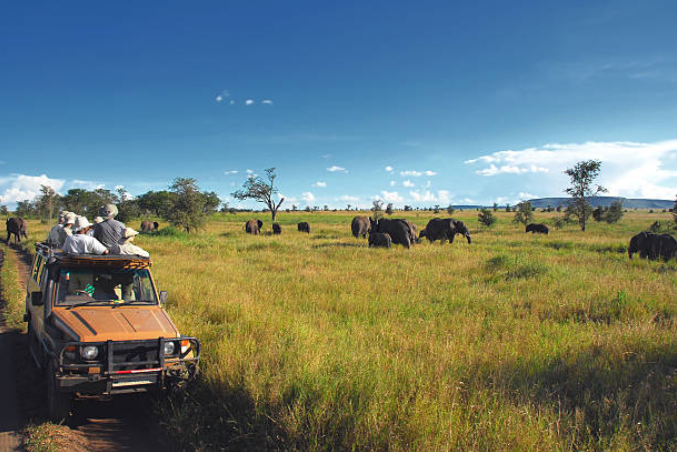 Travelers enjoying Tanzania group safari wildlife views and cultural experiences together outdoors.