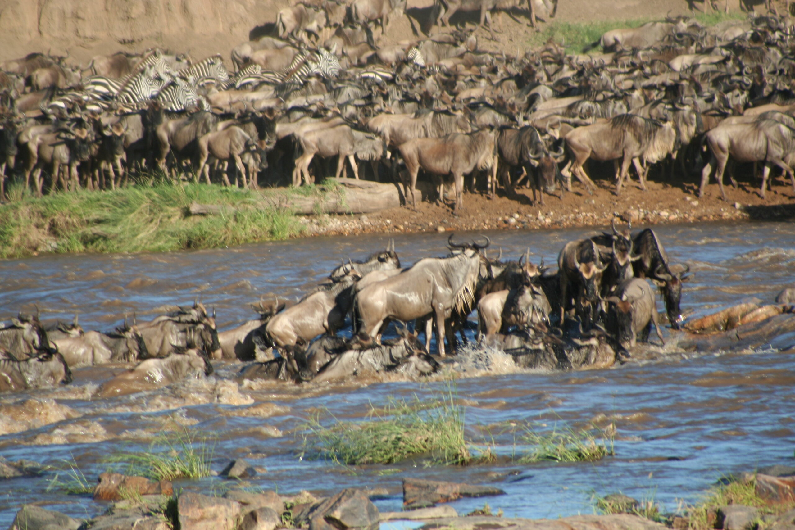 What Is The Average Cost Per Person For a Tanzania Group Safari
