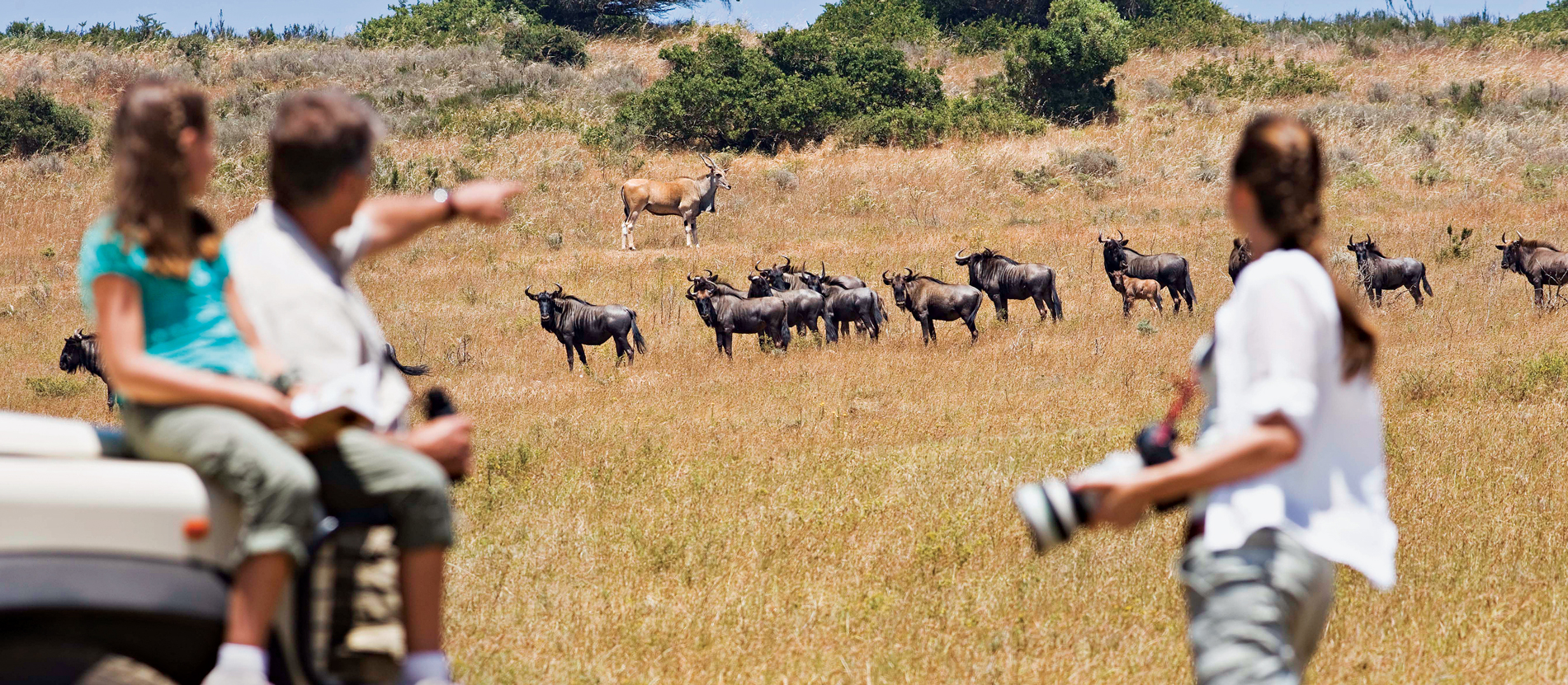 Family-Friendly Group Safaris in Tanzania