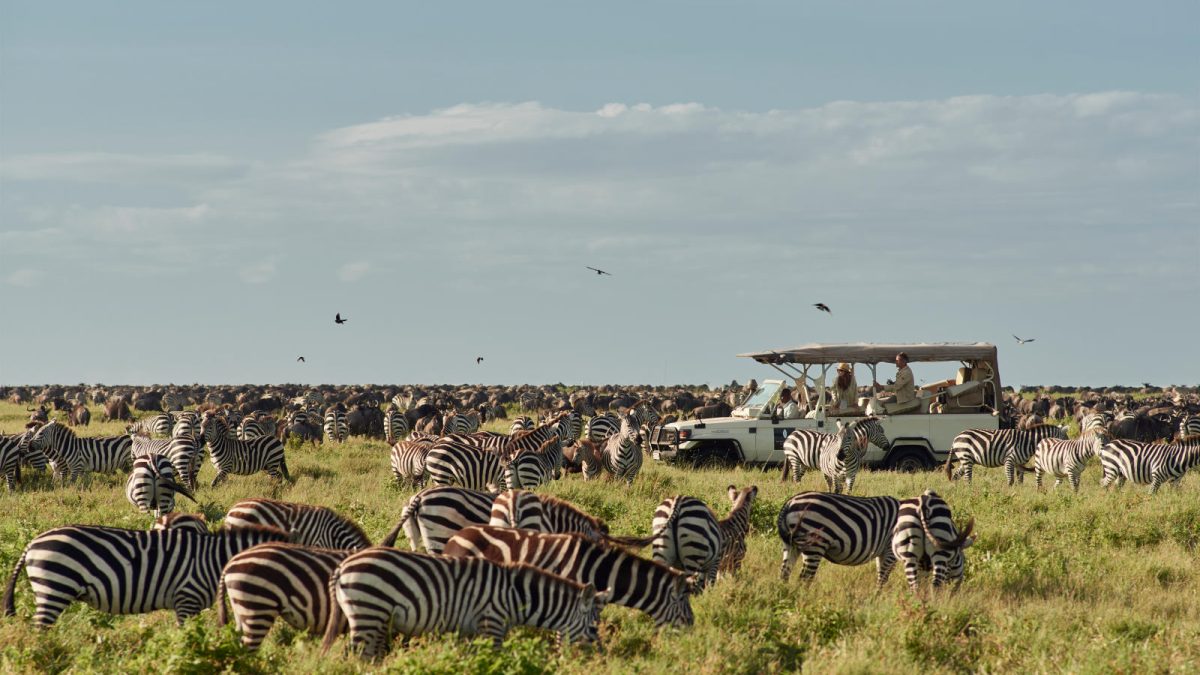 Top Tanzania Safari Operators for Group Tours in 2026
