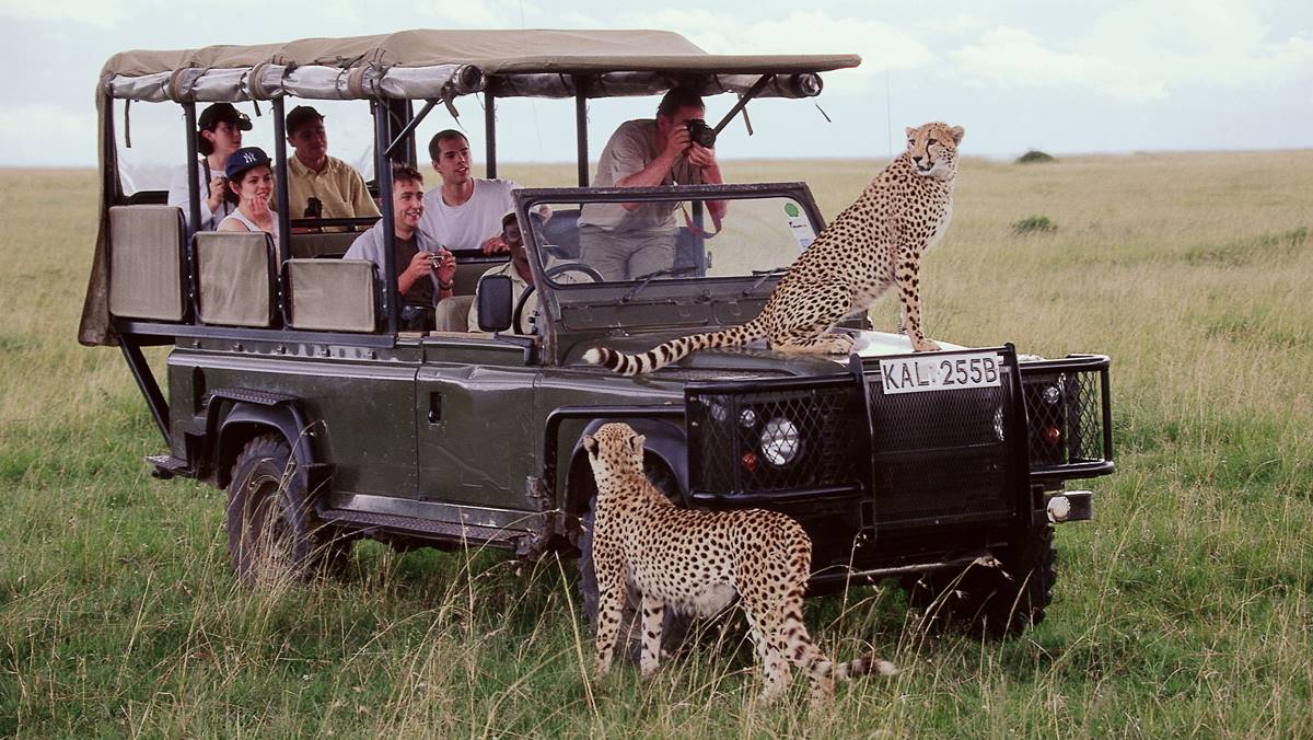 Eco-Friendly Group Safaris in Tanzania