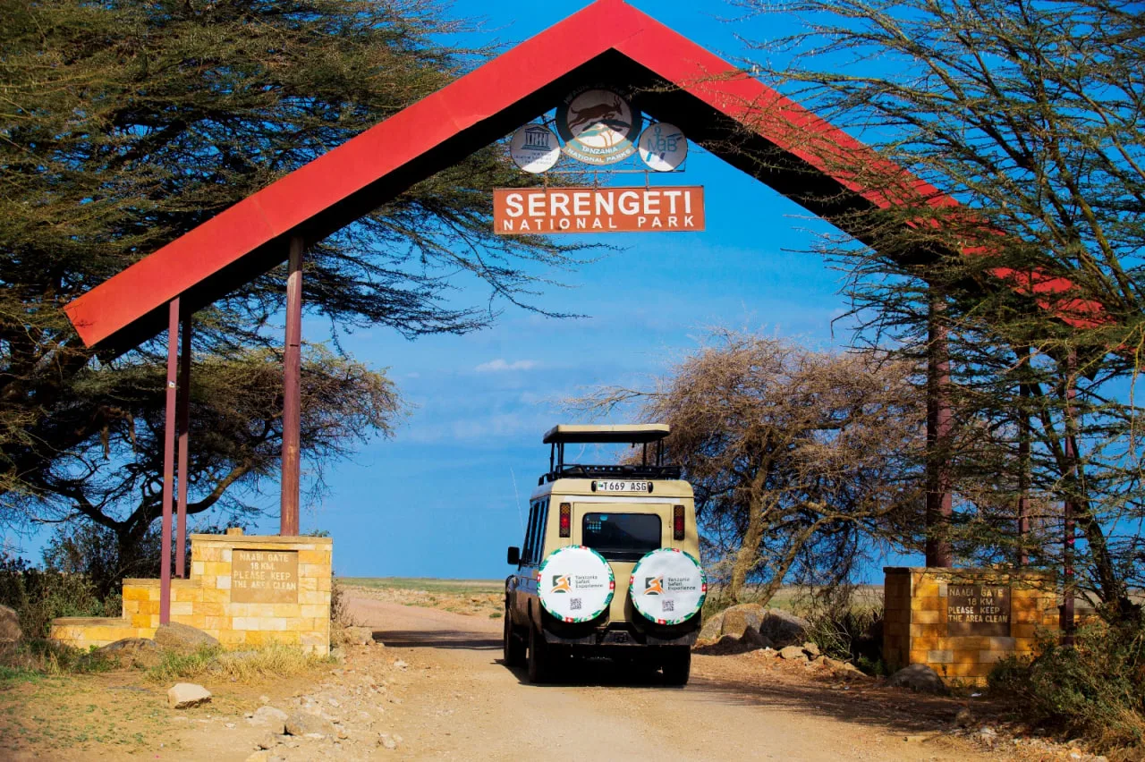What Is the Internet and Mobile Coverage Like in Tanzania Parks?