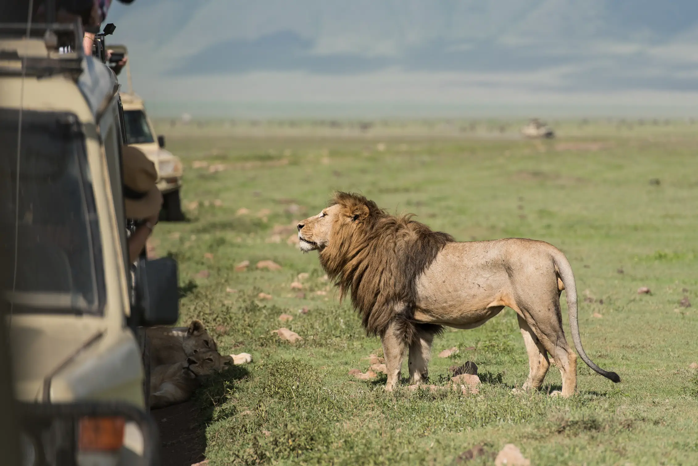  Tanzania Safari Communication