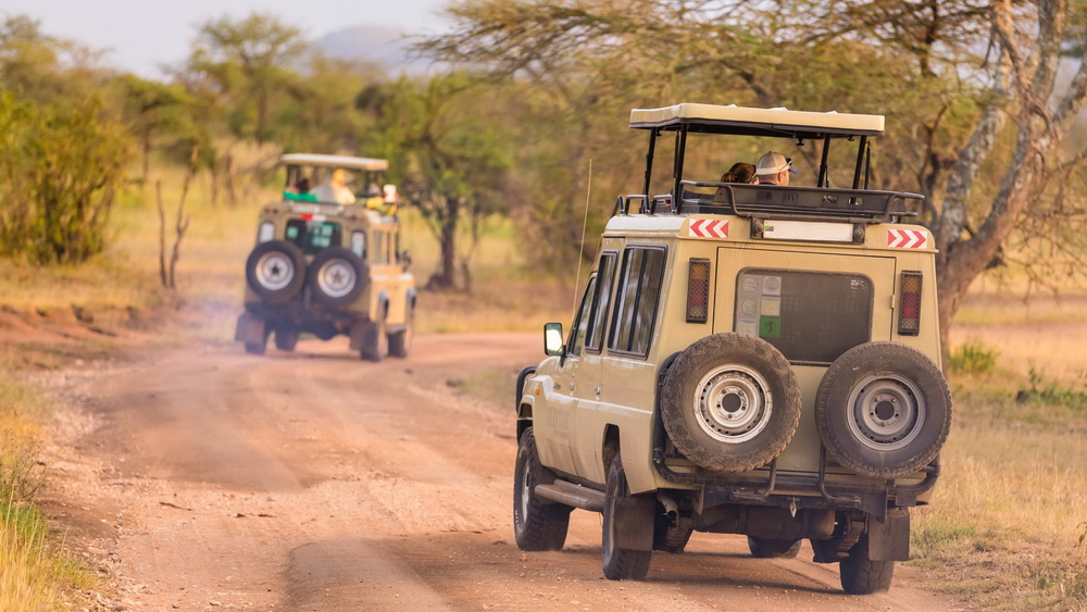 What Is the Best Safari Vehicle for Tanzania Roads?